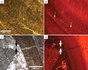 Third thumbnail for: Use of Clumped-Isotope Thermometry To Constrain th...