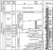 Second thumbnail for: Mechanisms Controlling the Clustering of Fluvial C...