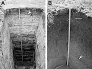 Third thumbnail for: The Nature and Significance of Variations In Gypsu...
