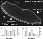 Third thumbnail for: Seascape Metrics of Shelf-Margin Reefs and Reef Sa...