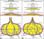 First thumbnail for: Quantifying the Hierarchical Organization of Compe...