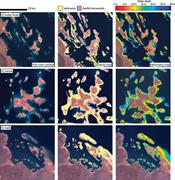 Second thumbnail for: Patterns of Sedimentation In the Contemporary Red ...