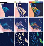 Third thumbnail for: Patterns of Sedimentation In the Contemporary Red ...