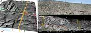 Third thumbnail for: Syndepositional Deformation In A High-Relief Carbo...