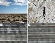 Second thumbnail for: Pliocene–Pleistocene Climate Change At the NE Tibe...