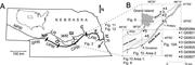First thumbnail for: Revision of Platte River Alluvial Facies Model Thr...