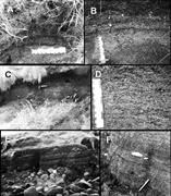 Third thumbnail for: Storm Swash Terraces: A Previously Overlooked Elem...