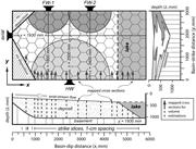 First thumbnail for: Stratigraphic Architecture of An Experimental Basi...