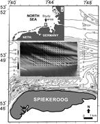 First thumbnail for: Long-Term Changes In Morphology and Textural Sedim...