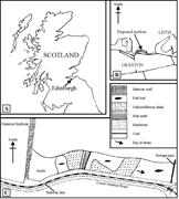 First thumbnail for: Origin of Siderite Concretions In Microenvironment...