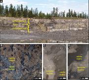 Third thumbnail for: Petrographic and Geochemical Contrasts Between Cal...
