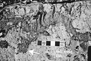 Third thumbnail for: Autogenic Microbial Genesis of Middle Miocene Palu...
