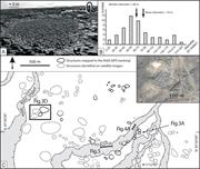 Third thumbnail for: Circular, Cryogenic Structures from the Hirnantian...