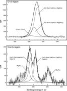 Third thumbnail for: Phosphate-Related Artifacts In Carbonate Mineraliz...
