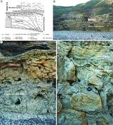 First thumbnail for: Biotic and Abiotic Processes In the Formation and ...