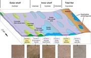 Third thumbnail for: EARLY DOLOMITIZATION AND RECRYSTALLIZATION IN SHAL...