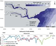 Second thumbnail for: Sedimentological Sectorization of An Estuarine Sys...
