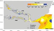 Third thumbnail for: Sedimentological Sectorization of An Estuarine Sys...