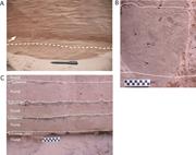 Third thumbnail for: Assessing Grain-Size Correspondence Between Flow a...