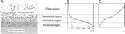 First thumbnail for: Concentration-Dependent Flow Stratification In Exp...