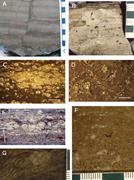 Second thumbnail for: Carbonate Lake Deposits Associated With Distal Sil...