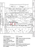 Second thumbnail for: Root Calcretes and Uranium-Bearing Silcretes At Se...