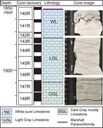 Third thumbnail for: Diagenetic Implications of Stylolitization In Pela...