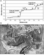 Second thumbnail for: Environmental Factors Controlling the δ 13 C and δ...