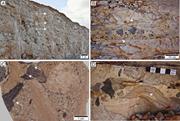 Second thumbnail for: Genesis of Blackened Limestone Clasts At Late Ceno...
