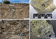 Third thumbnail for: Genesis of Blackened Limestone Clasts At Late Ceno...