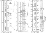 Second thumbnail for: Frequency-Reliant Correlative Patterns of Asymmetr...