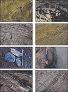 Third thumbnail for: Frequency-Reliant Correlative Patterns of Asymmetr...