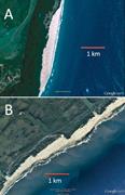Second thumbnail for: Backbeach Deflation Aprons: Morphology and Sedimen...