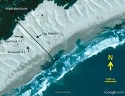 Third thumbnail for: Backbeach Deflation Aprons: Morphology and Sedimen...