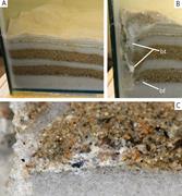 First thumbnail for: Bioinfiltration: Irrigation-Driven Transport of Cl...