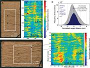 First thumbnail for: Digital Rendering of Sedimentary-Relief Peels: Imp...