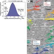 Third thumbnail for: Digital Rendering of Sedimentary-Relief Peels: Imp...