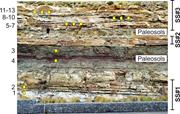 Third thumbnail for: Mud Aggregates from the Katberg Formation, South A...