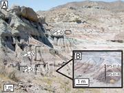 Third thumbnail for: Paleoenvironmental and Paleoclimatic Interpretatio...