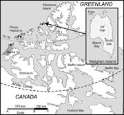 First thumbnail for: Cross-Bedded Woody Debris From A Pliocene Forested...