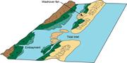 First thumbnail for: Washover Fans: A Modern Geomorphologic Analysis an...