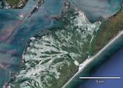 Second thumbnail for: Washover Fans: A Modern Geomorphologic Analysis an...