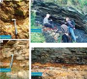 Second thumbnail for: Prominent Lower Cambrian K-Bentonites In South Chi...