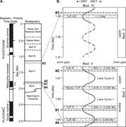 Second thumbnail for: Freshwater Limestone In An Arid Rift Basin: A Gold...