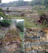 Second thumbnail for: Abiogenic Growth of Needle-Fiber Calcite In Spring...