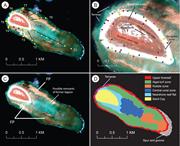 Second thumbnail for: Carbonate Sediment Production, Transport, and Supp...