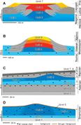 Second thumbnail for: Sponge Spicules, Silicification, and Sequence Stra...