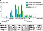 Third thumbnail for: Sponge Spicules, Silicification, and Sequence Stra...