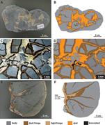 Second thumbnail for: Clumped-Isotope Constraints On Cement Paragenesis ...