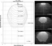 Second thumbnail for: Growth Patterns of Subaqueous Depositional Channel...
